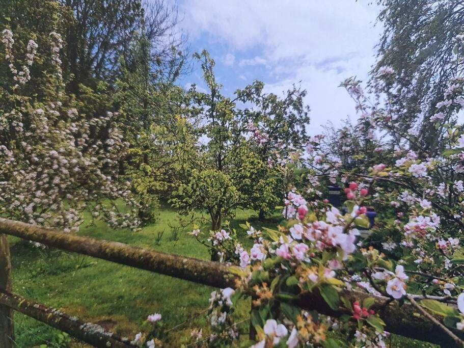 Nature Charm & Fruit Delights, Multi-Generation Celebratory Home -Try, Relax, Repeat - Sellindge Ашфорд Екстер'єр фото