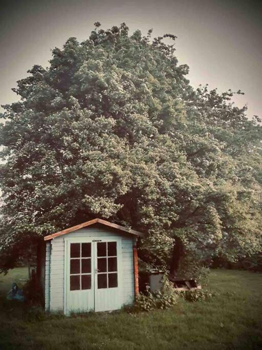 Nature Charm & Fruit Delights, Multi-Generation Celebratory Home -Try, Relax, Repeat - Sellindge Ашфорд Екстер'єр фото