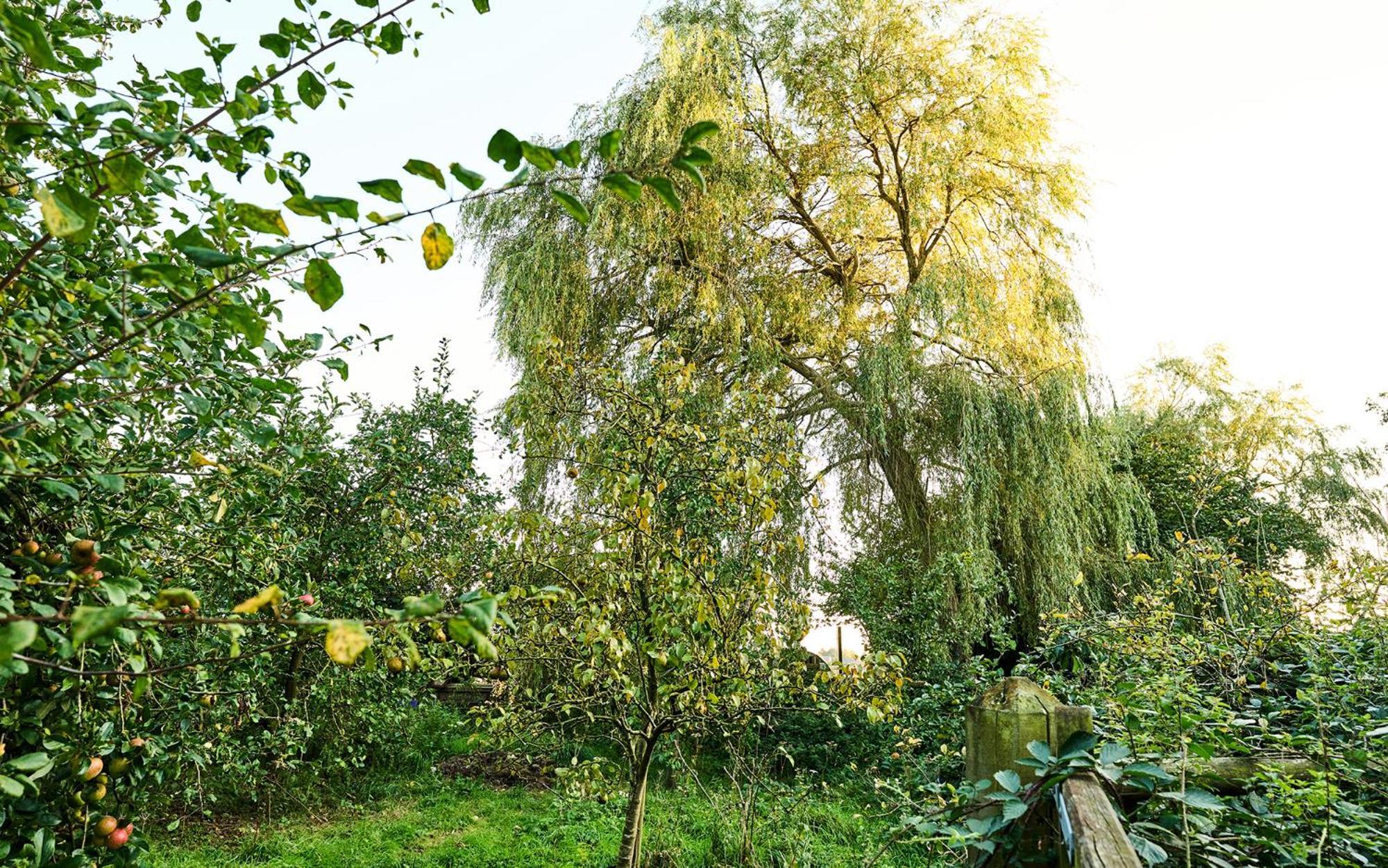 Nature Charm & Fruit Delights, Multi-Generation Celebratory Home -Try, Relax, Repeat - Sellindge Ашфорд Екстер'єр фото